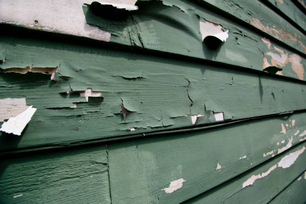 Best Commercial Junk Removal  in Rockville, IN