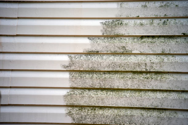 Best Shed Removal  in Rockville, IN